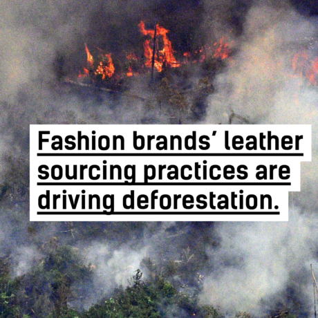 While the rainforest burns, we need to know where our leather comes from