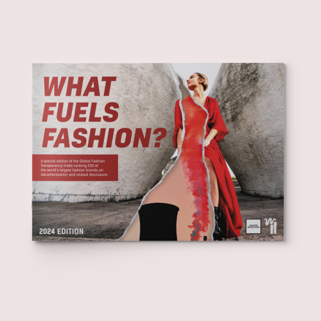 WHAT FUELS FASHION?