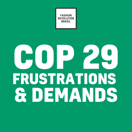 COP29: Frustrations with the multilateral system and the urgent need for Global Climate Action