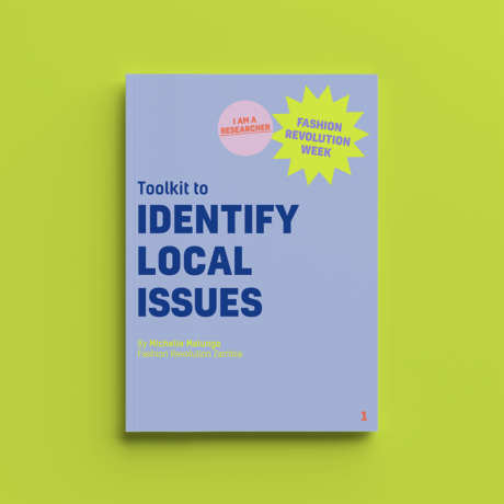 Toolkit 1: Identify Local Issues